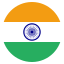 Indian Flag Icon